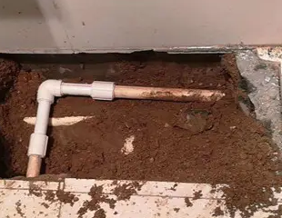 茅箭测漏水哪家好