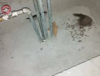 茅箭卫生间测漏水价格明细