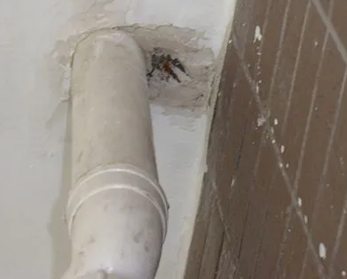 茅箭漏水检测哪家好